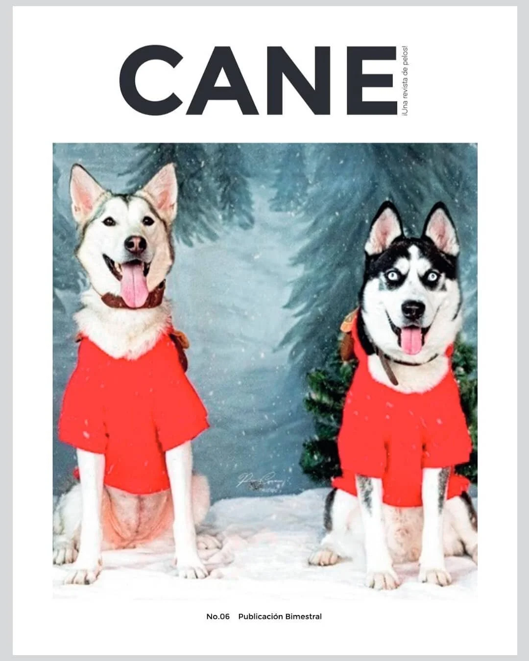 Tenemos una noticia muy especial. @phirulaisfotocanina en colaboraci&oacute;n con la fundaci&oacute;n @porlosquenotienenvoz participaron en la edici&oacute;n No. 6 de la Revista CANE @revistacane .

Vayan a su p&aacute;gina y descarguen la versi&oacu