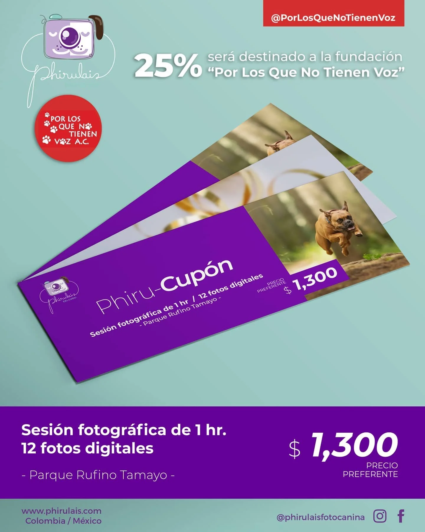 Queremos empezar el a&ntilde;o como se debe: pensando en los perritos que a&uacute;n no tienen hogar y c&oacute;mo ayudar. As&iacute; que dise&ntilde;amos este paquete que estoy segura te va a encantar, porque aparte de tener unas hermosas fotos de t