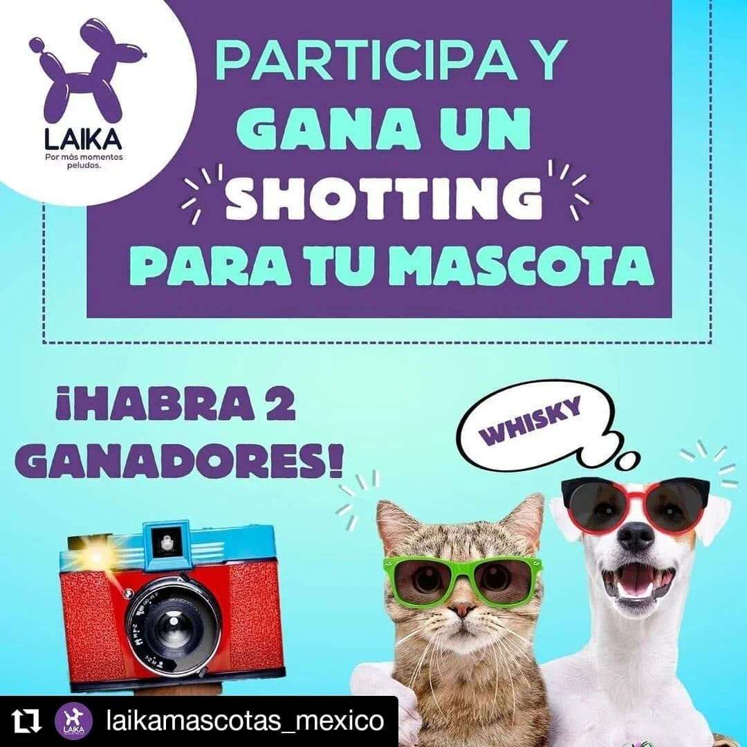 &iquest;Ya sigues la cuenta de @laikamascotas_mexico ?

Estar&aacute;n sorteando dos shottings de @phirulaisfotocanina, habr&aacute;n dos ganadores, uno para perro y otro para gato ❤️📸🐱🐶

#Repost @laikamascotas_mexico
&bull; &bull; &bull; &bull; &