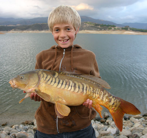 <p><strong>INTRODUCTION TO CARP ANGLING</strong><i>Part 1 →</i></p>