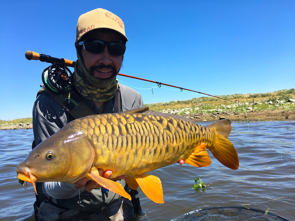 7. Fly-Fishing for Carp — American Carp Society