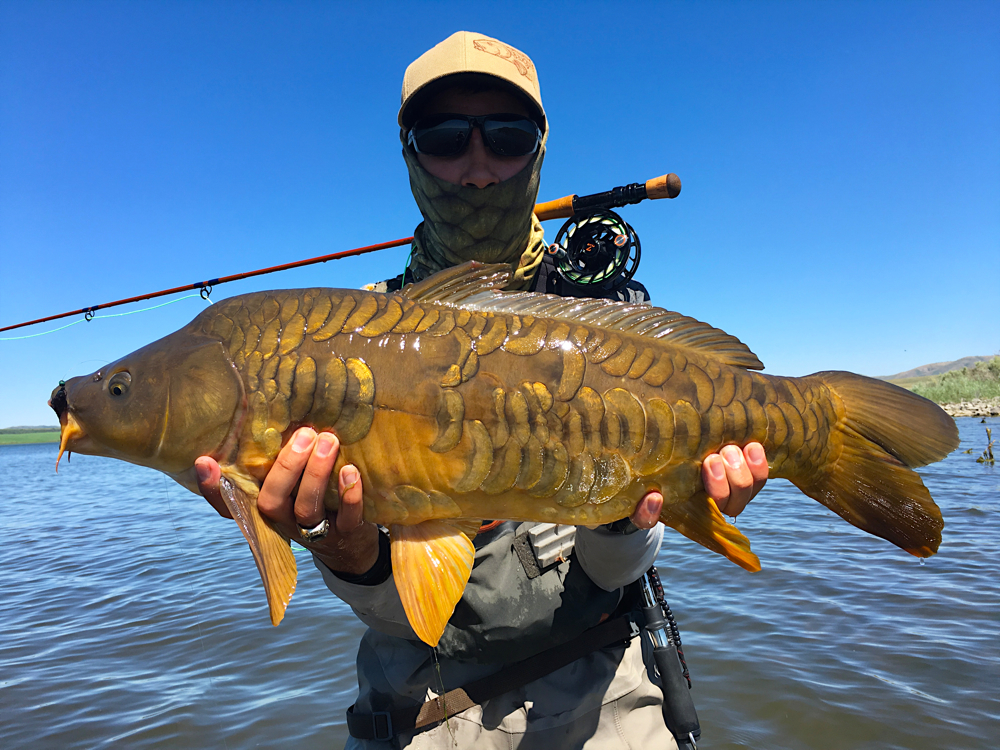 7. Fly-Fishing for Carp — American Carp Society