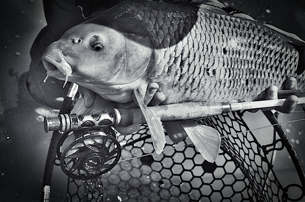 Common+B&W+Image+6_Tonality-InFocus.jpeg