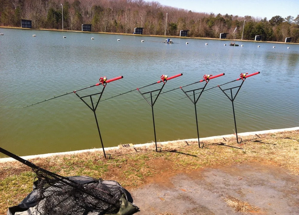 carp stands