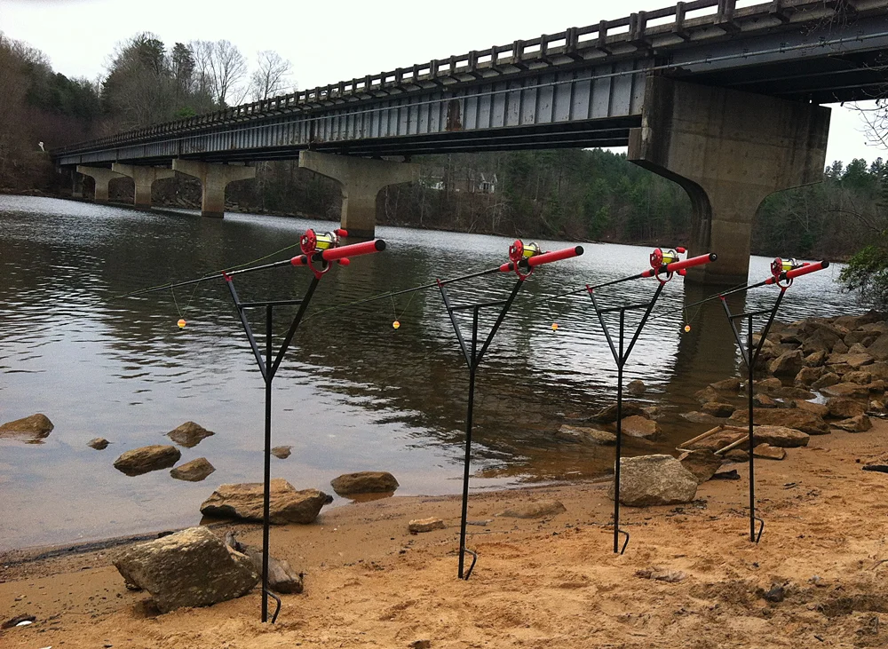 Rods with bite indicators placed on the lines.