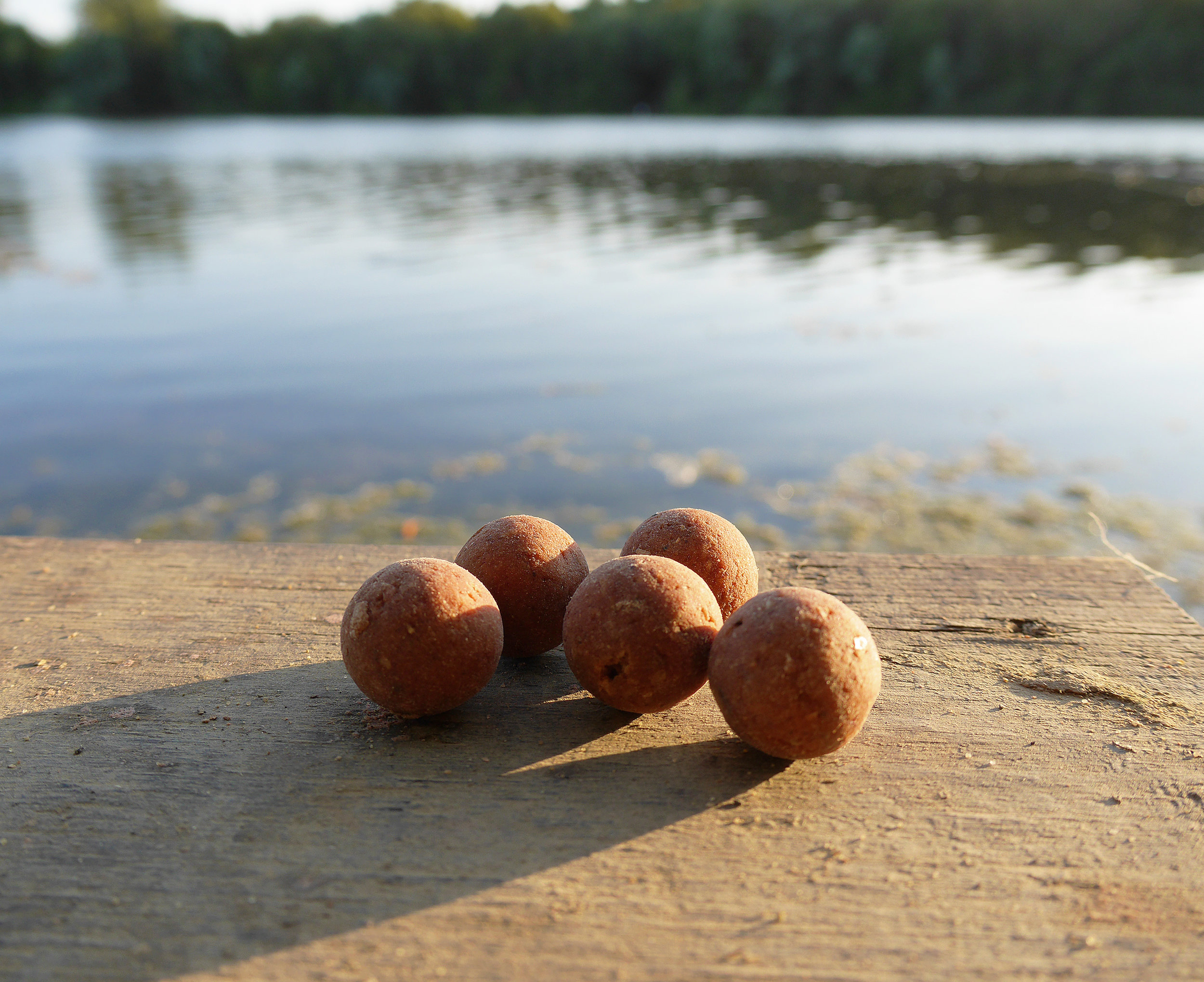 <p><strong>BOILIES</strong><i>More →</i></p>