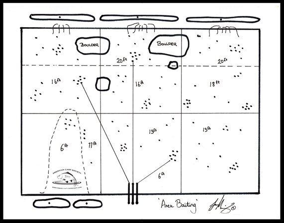 <p><strong>AREA BAITING</strong><i>More →</i></p>