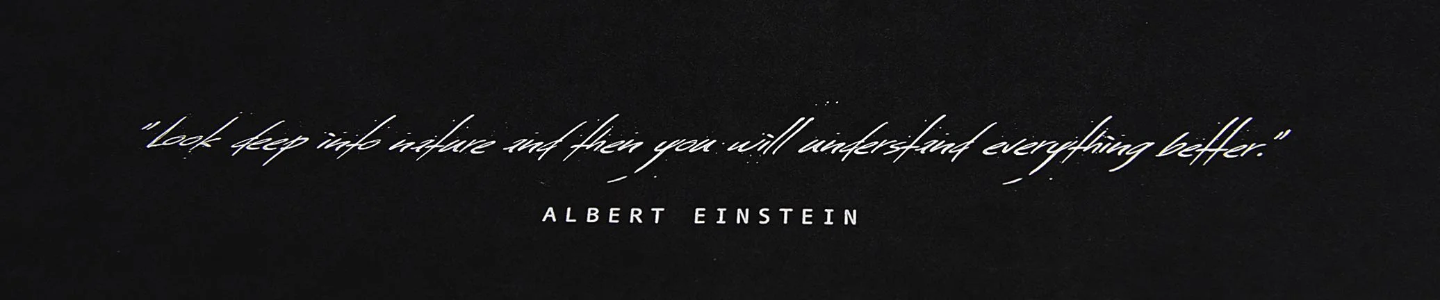 EINSTEINCLOSE-squashed.jpg