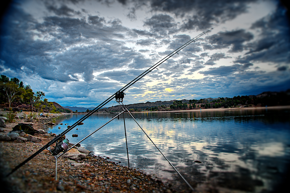 5. European Style — American Carp Society