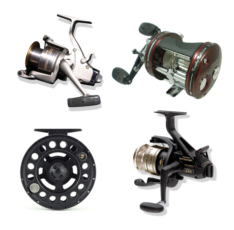 <p><strong>REELS</strong><i>More →</i></p>