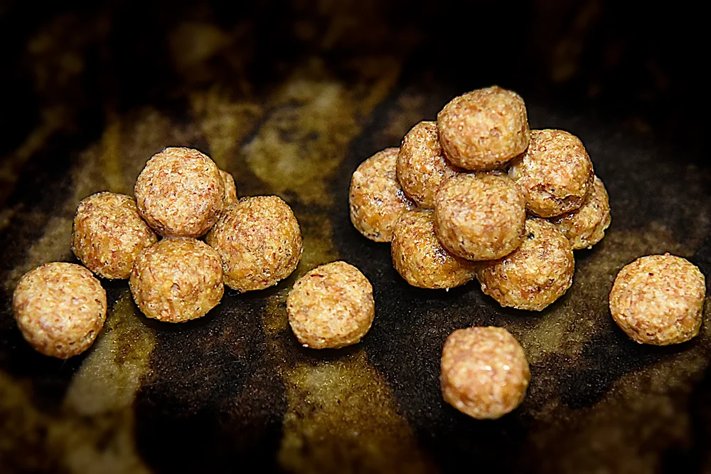 WB1_0590-Glued-Koi-Pellets.jpg