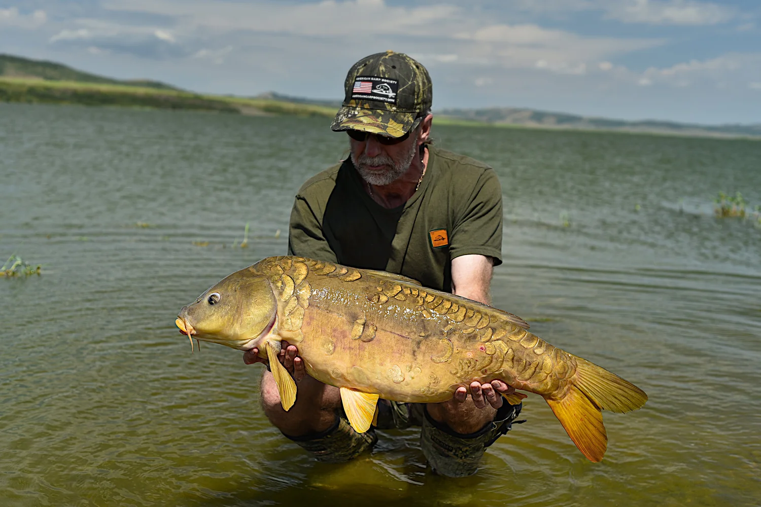 Fil PVA ZFISH 20 Mètres Pour Pêche à La Carpe - Stringer Boilies Stick Mix - Neuf
