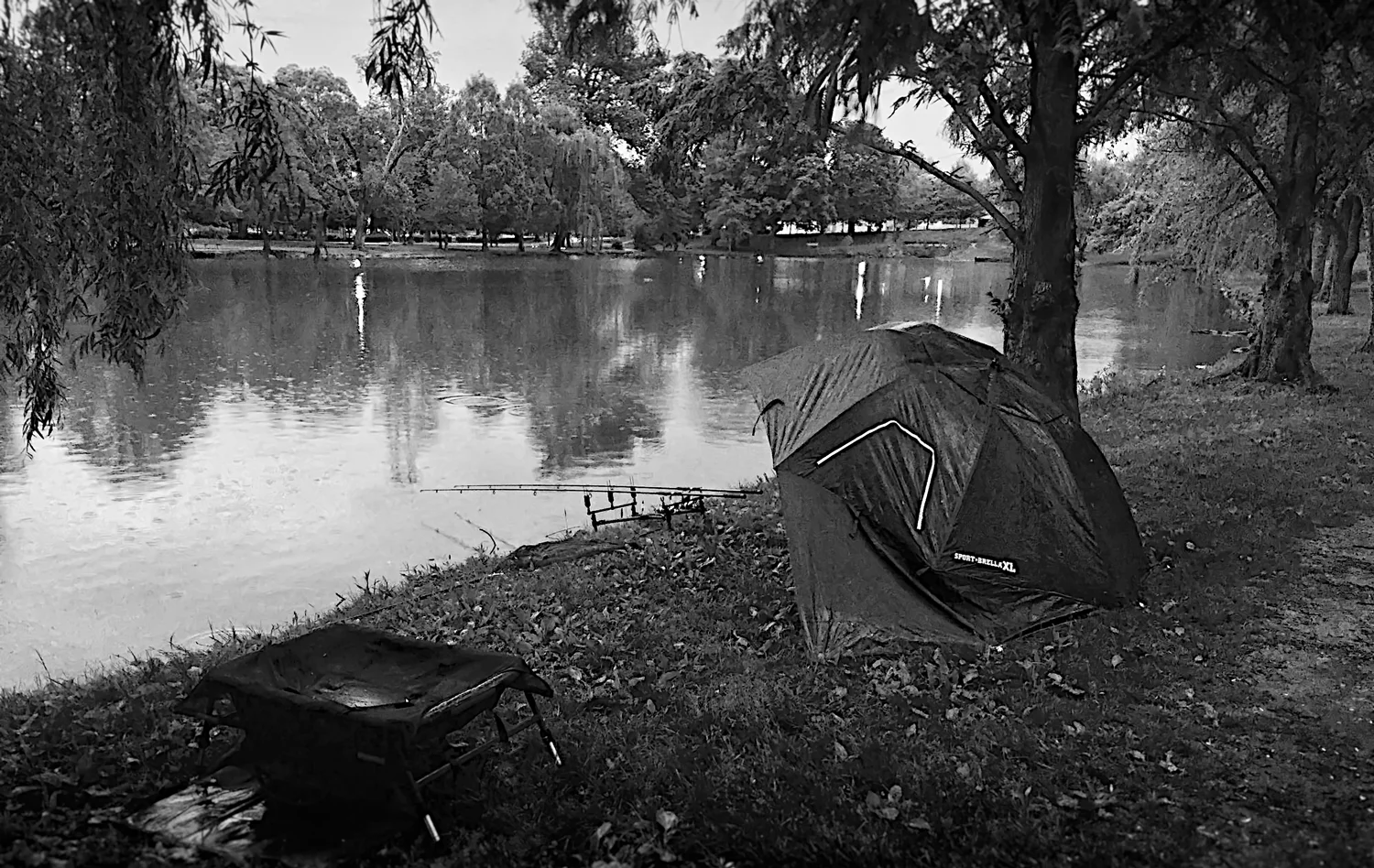 image1-B&W-Bivy-Shot-sm.jpg