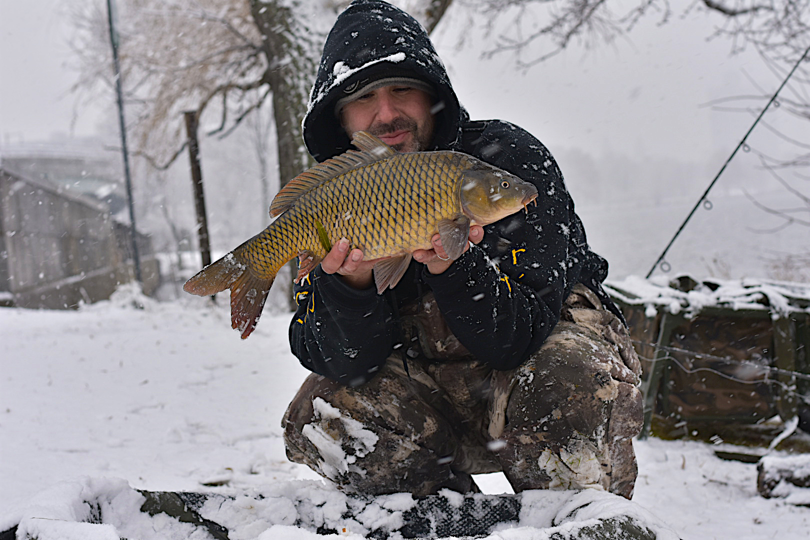 Out In the Cold — American Carp Society
