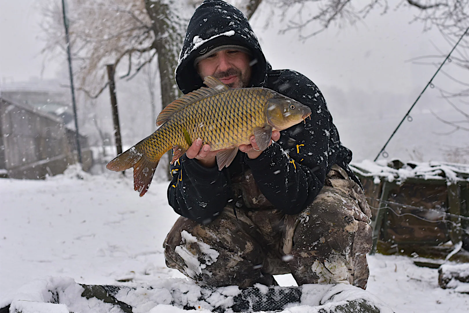 John - Snow Carp.jpg