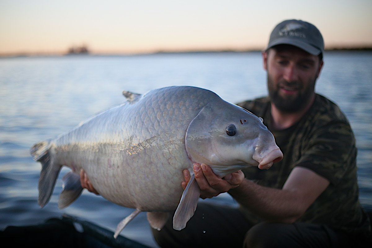 IMG_3406---40-lb+-Buff-edit-sm.jpg