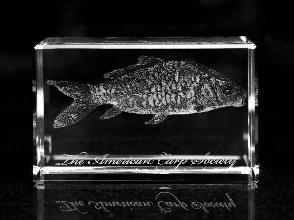 Carp-Crystal.jpg