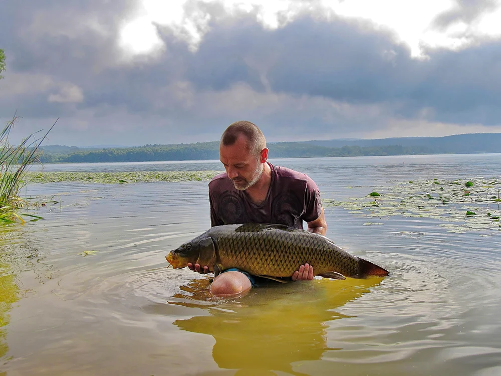 edit---image2---Margin-Fish2.jpg