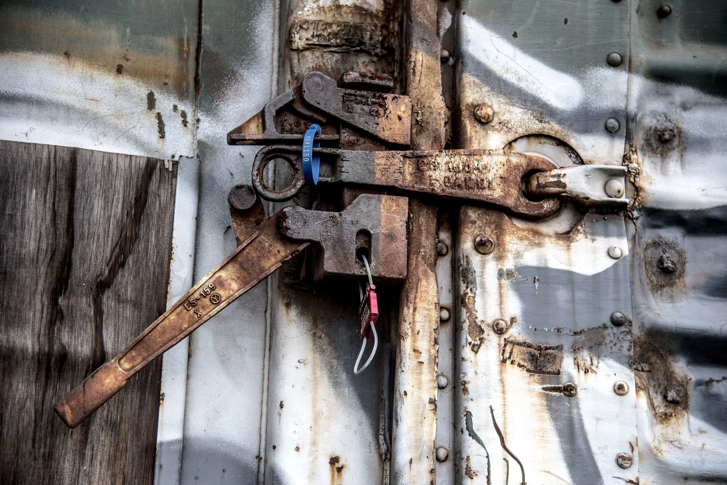 DSC_1820-squashed.JPG