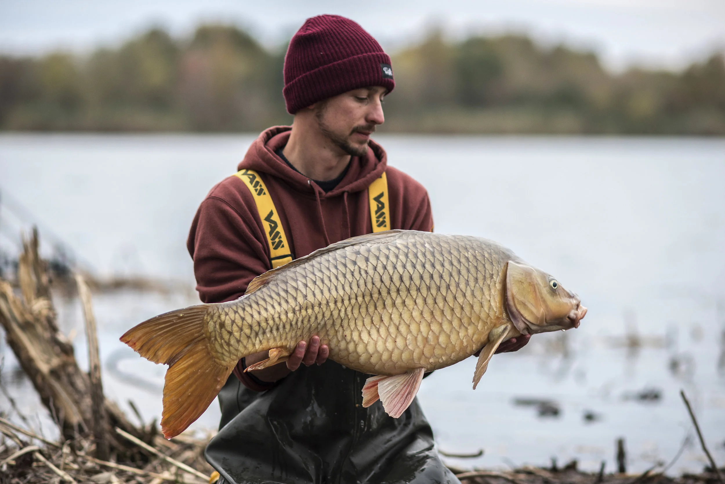 ANDREW CHUNK FISH.jpg