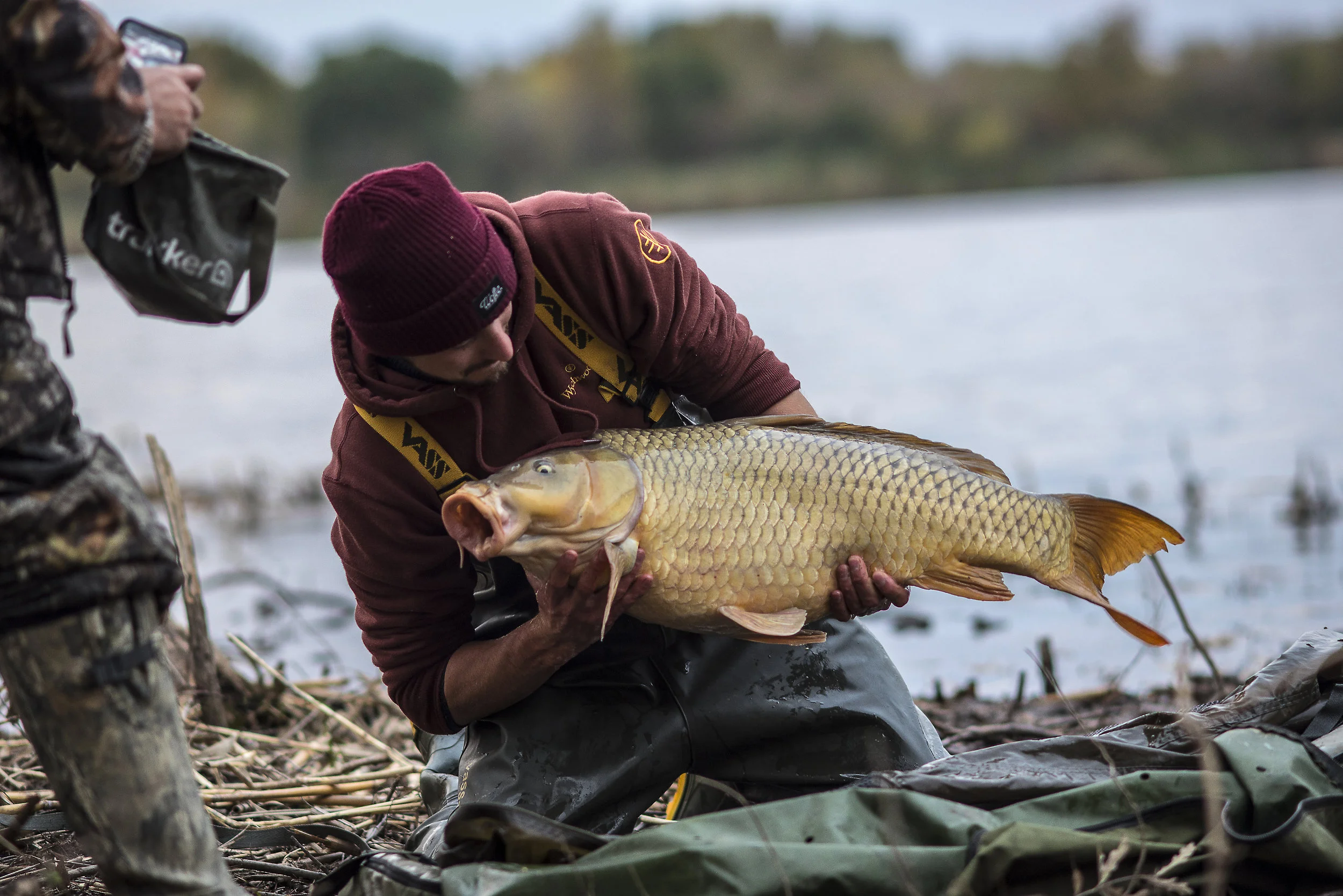 ANDREW FISH MAT 3.jpg
