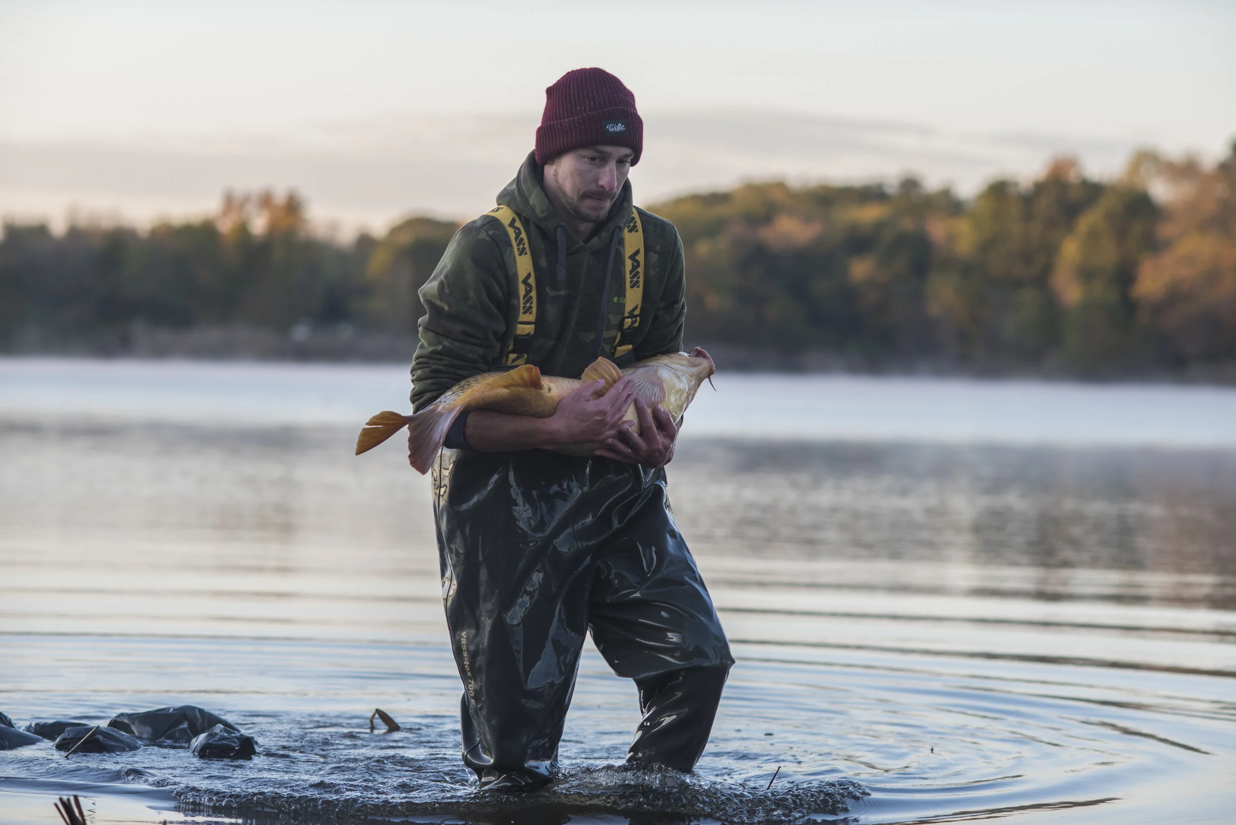 ANDREW FISH SHOT WALK CRADLE 2.jpg