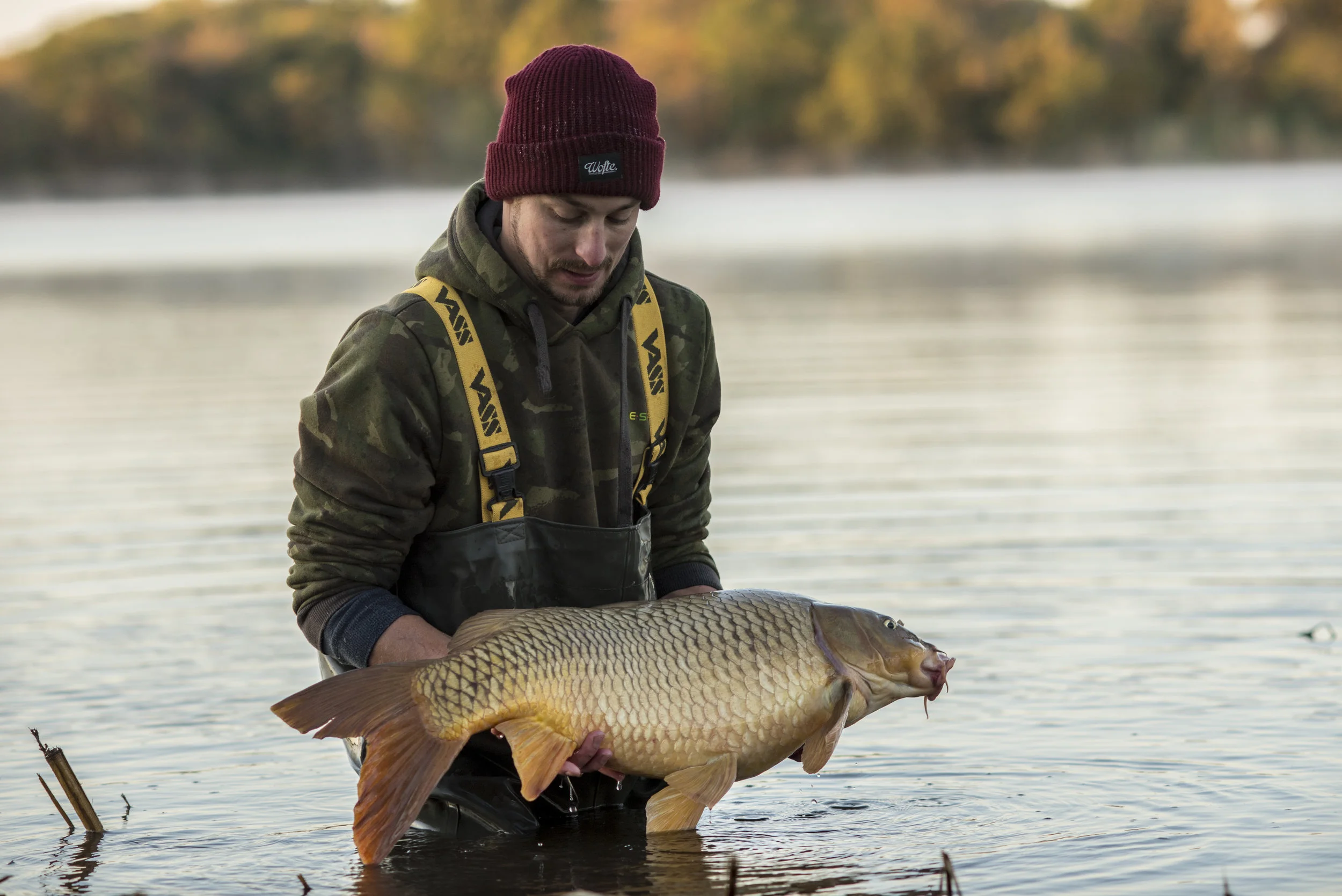 ANDREW fish WATER RELEASE 2.jpg