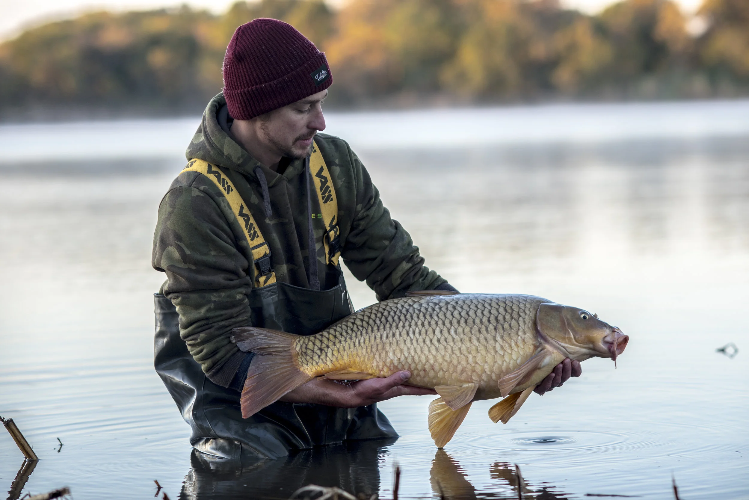 ANDREW fish WATER RELEASE 4.jpg