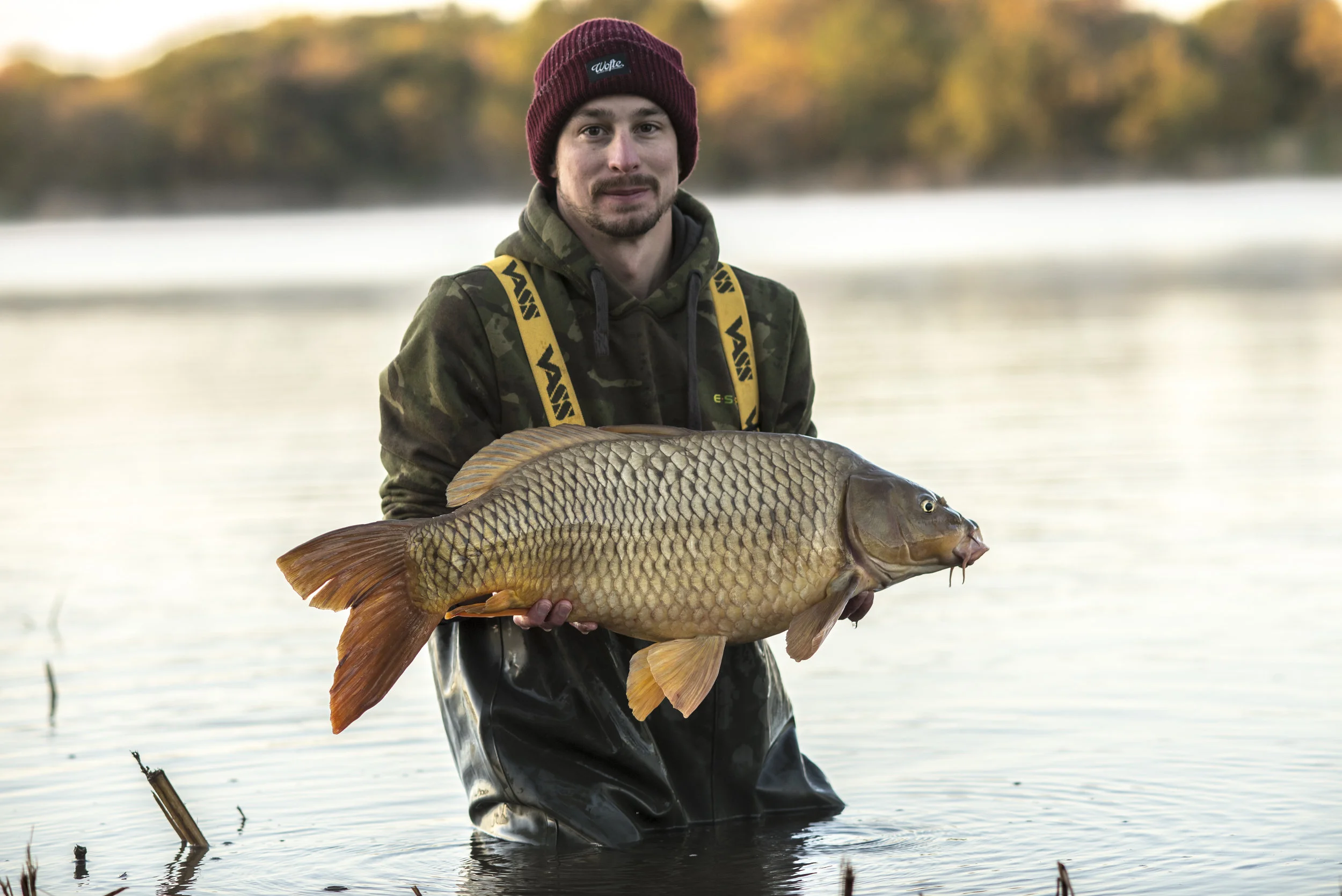 ANDREW fish WATER RELEASE STARBURST.jpg
