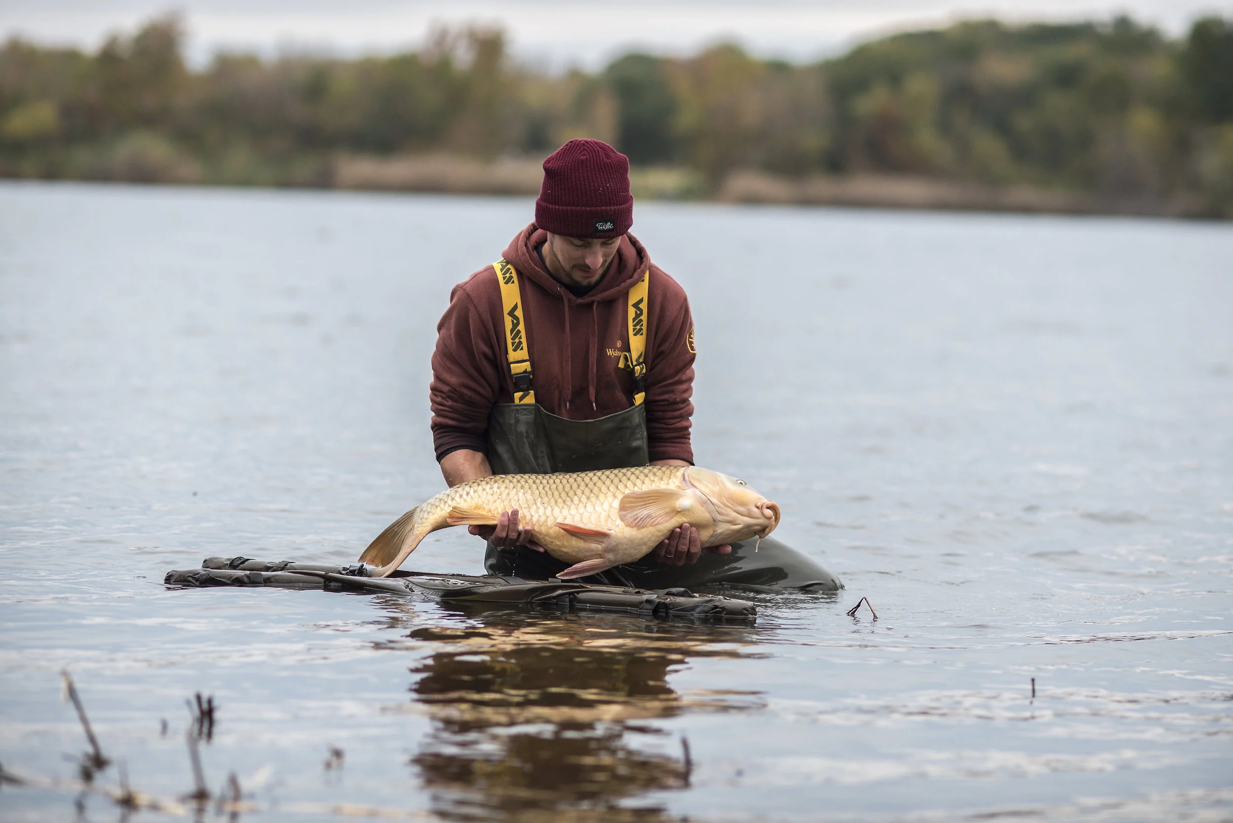 ANDREW SEMI SUBMERGE FISH WATER MAT 5.jpg