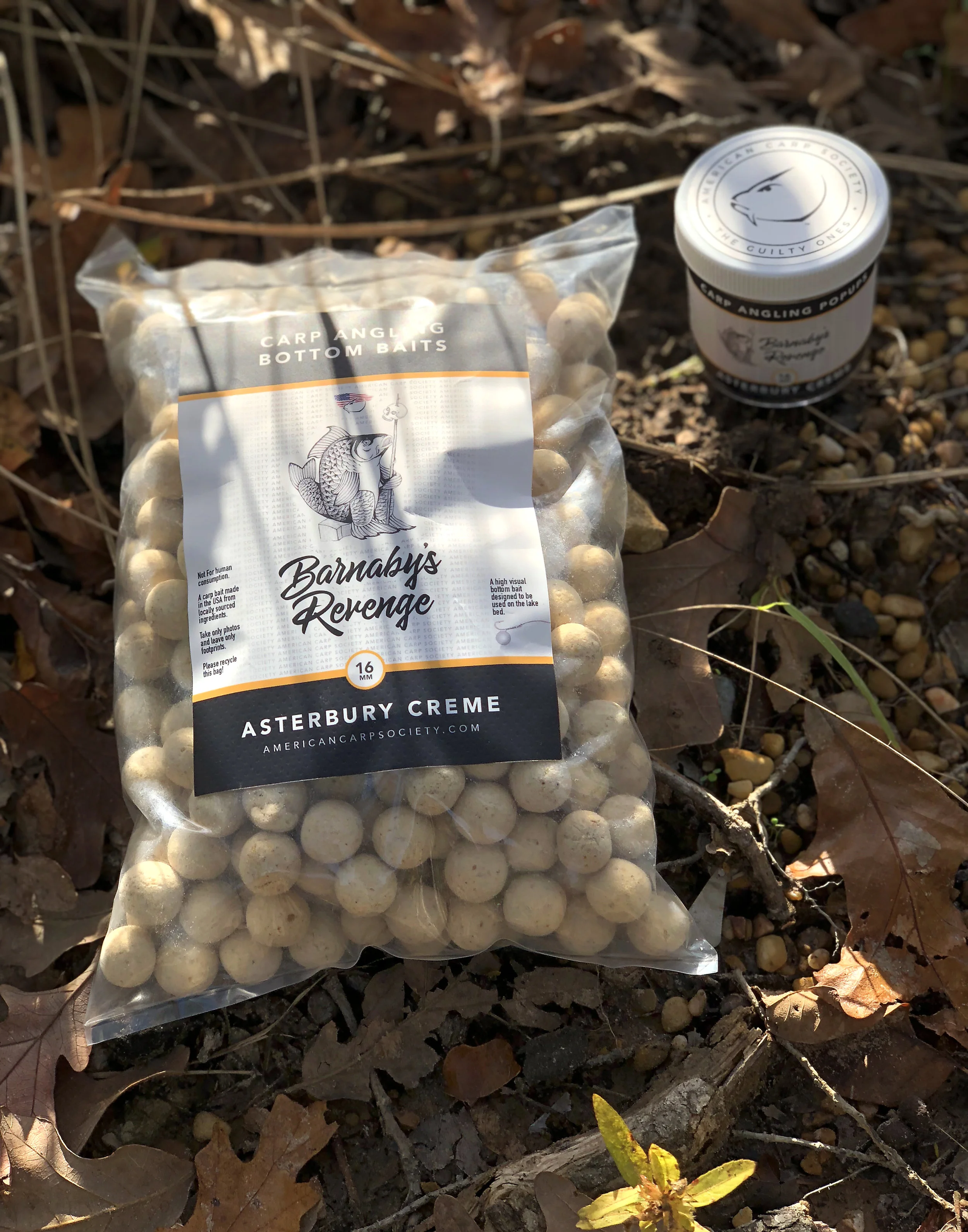 ASTERBURY CREME.jpg