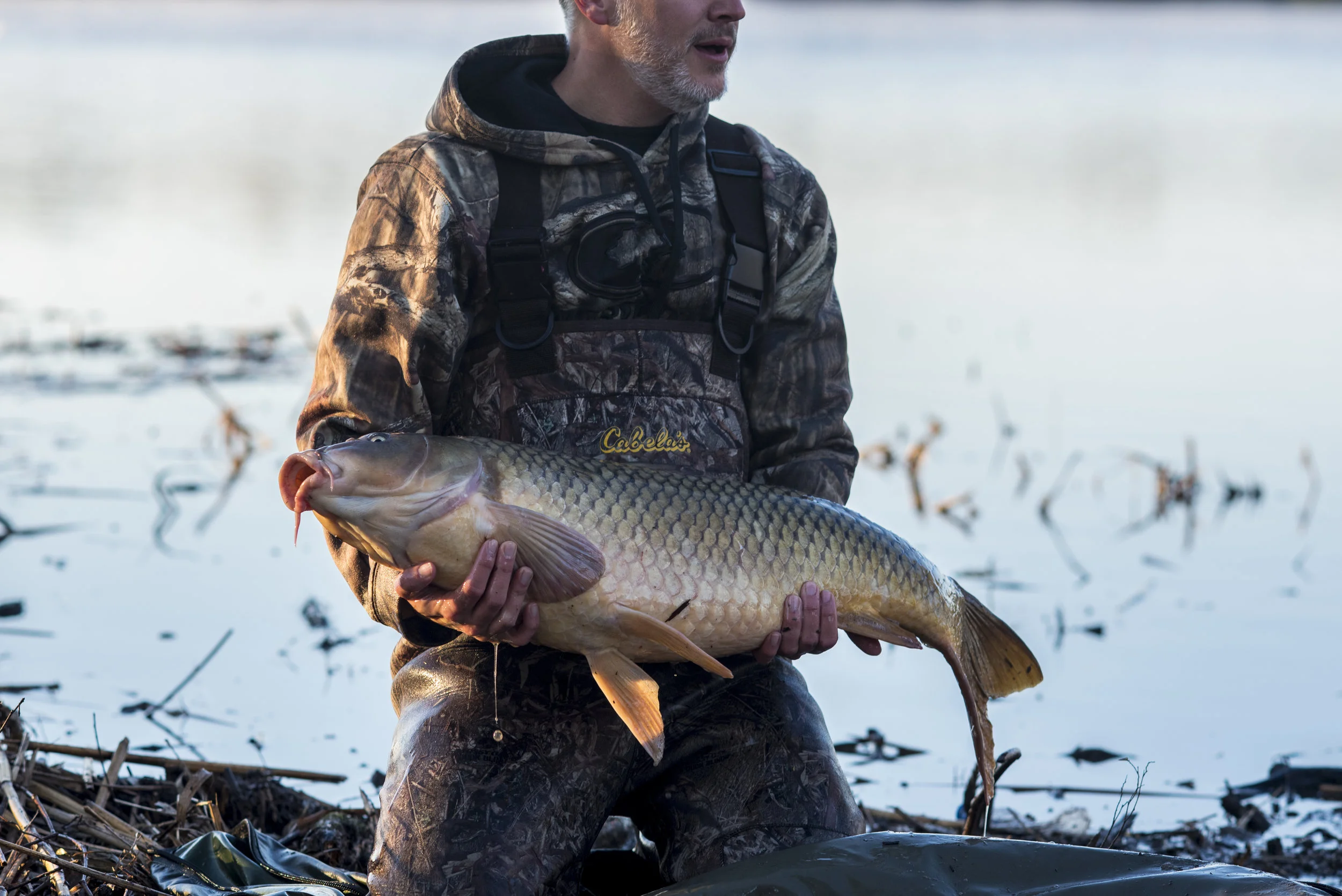 CLAYTON FISH 4 Mat droplet.jpg