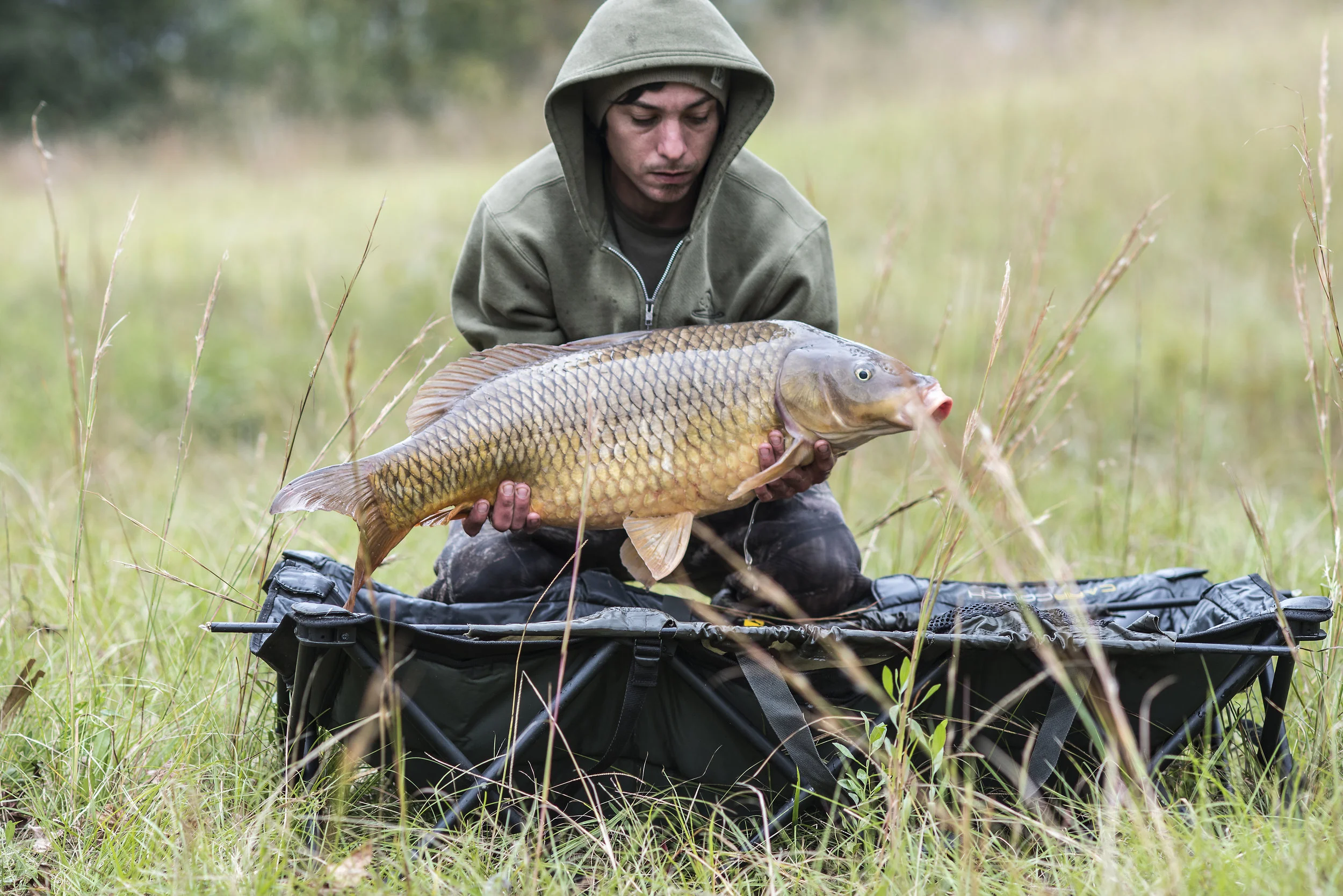 JOEY CROUCH CRdle FISH 1.jpg