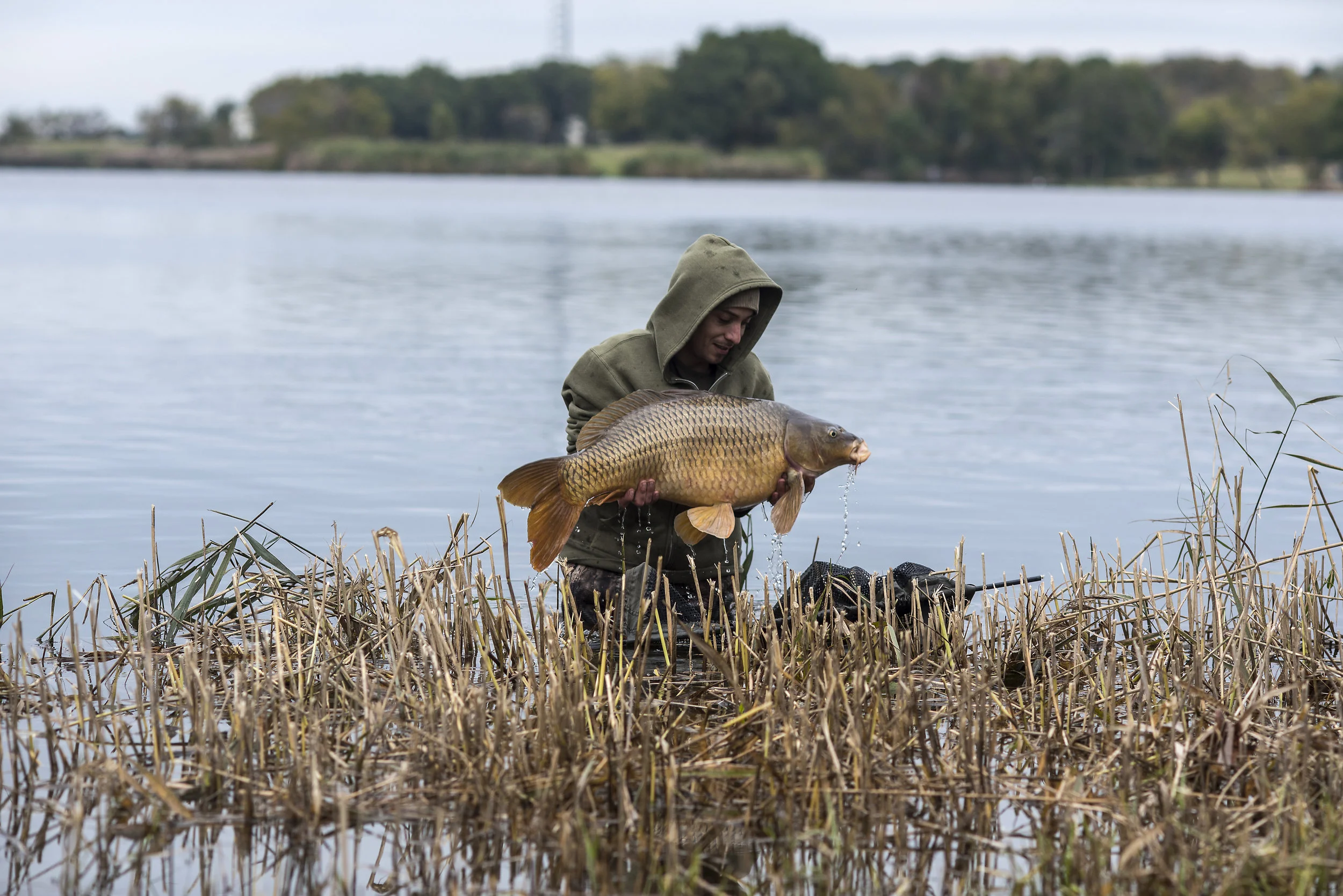 JOEY FISH STAND WATER RIGHT SIDE 2.jpg
