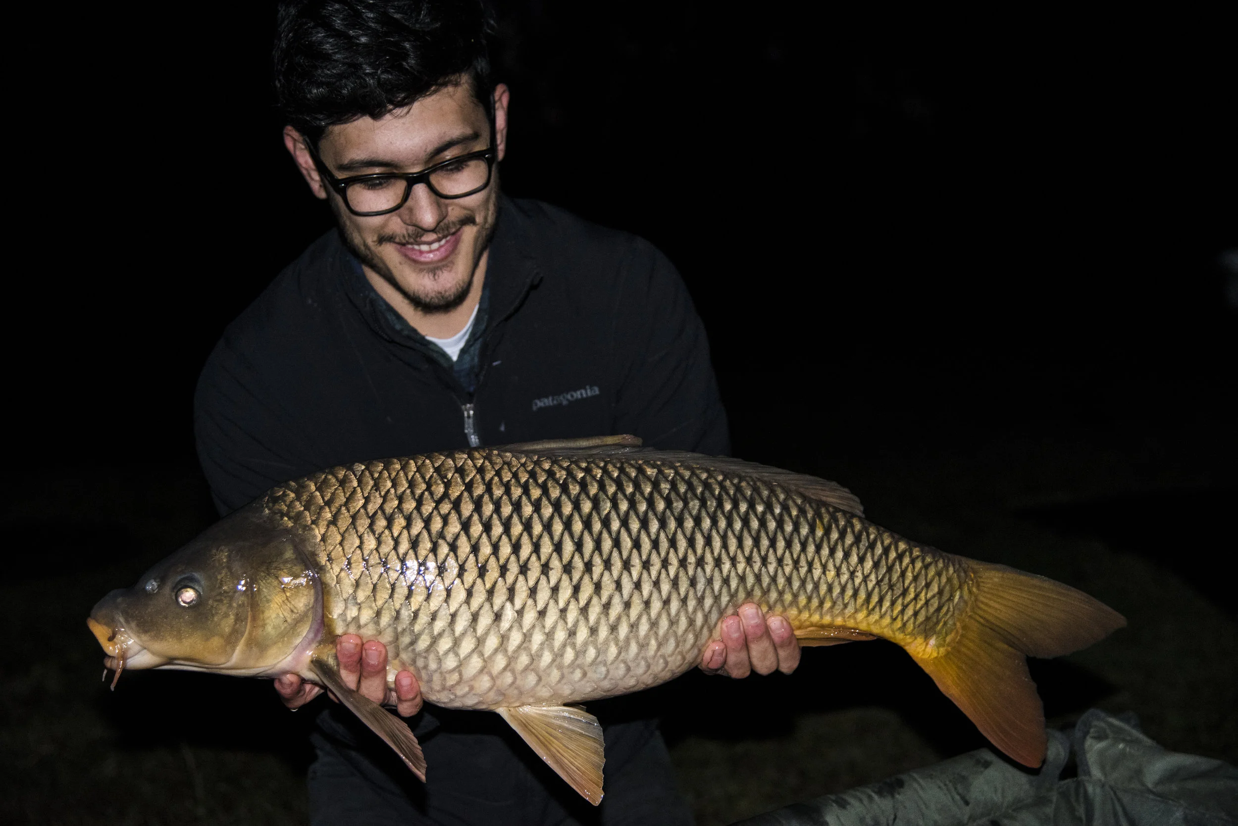 JOHN FISH.jpg