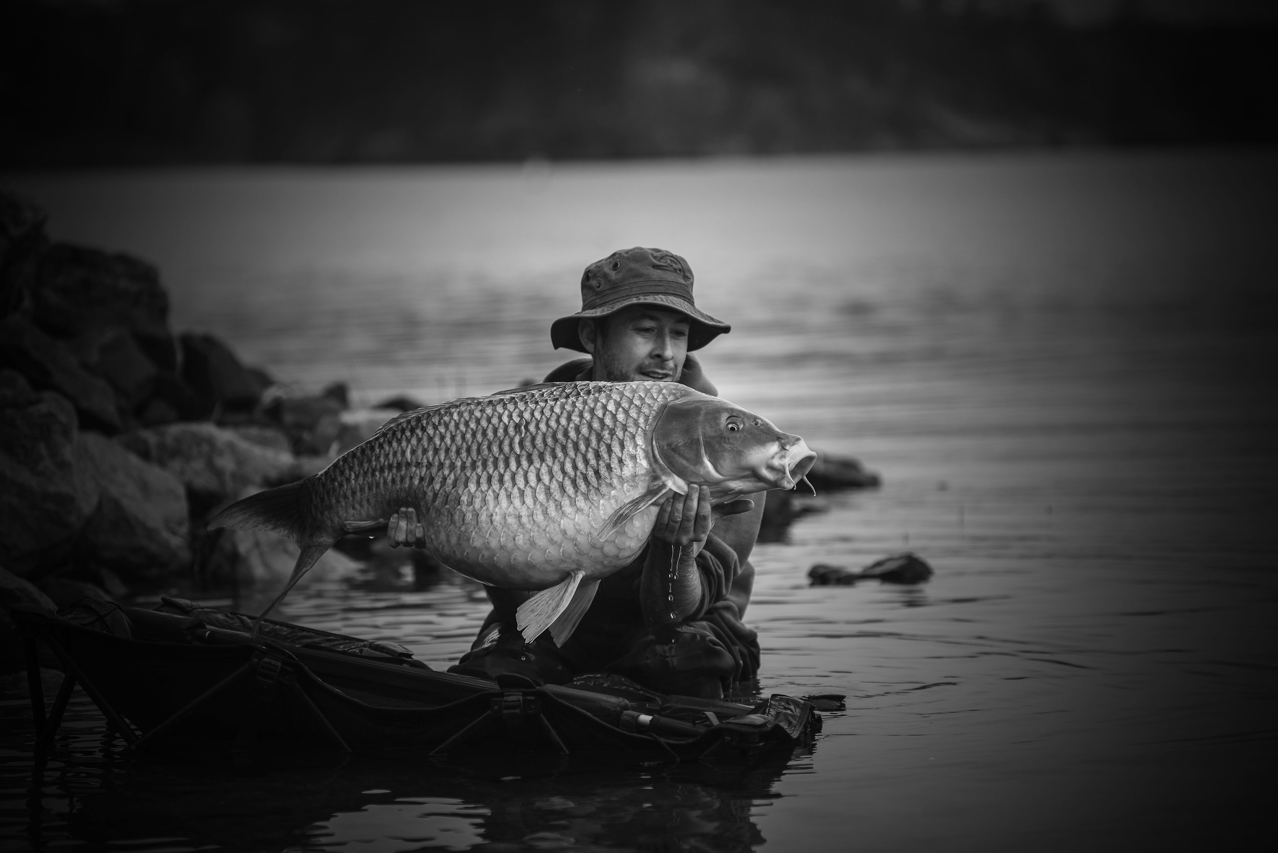  Educating &amp; Promoting Specimen Carp Fishing   American Carp Society    Membership Options  