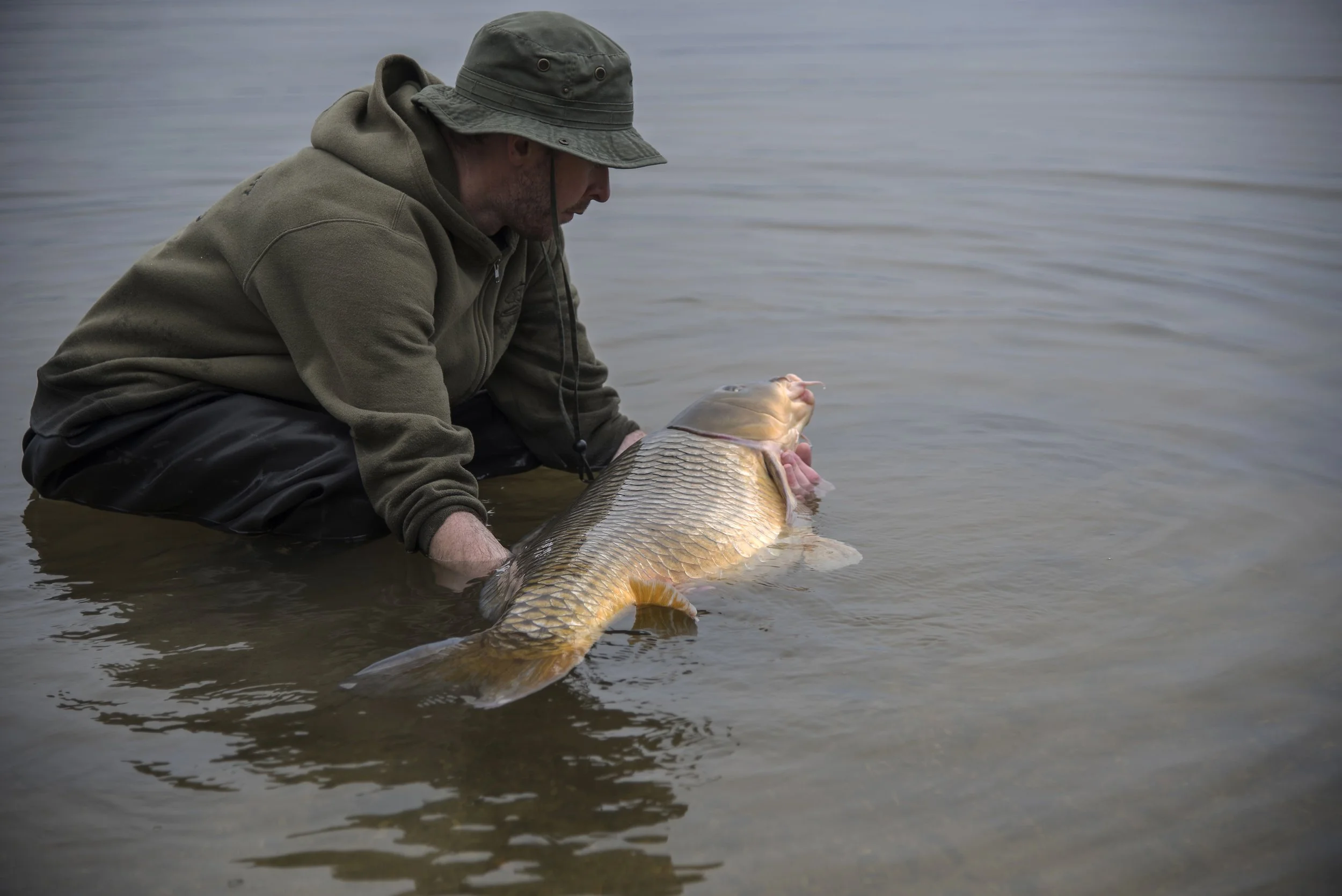 Educating & Promoting Specimen Carp Fishing American Carp Society Membership Options