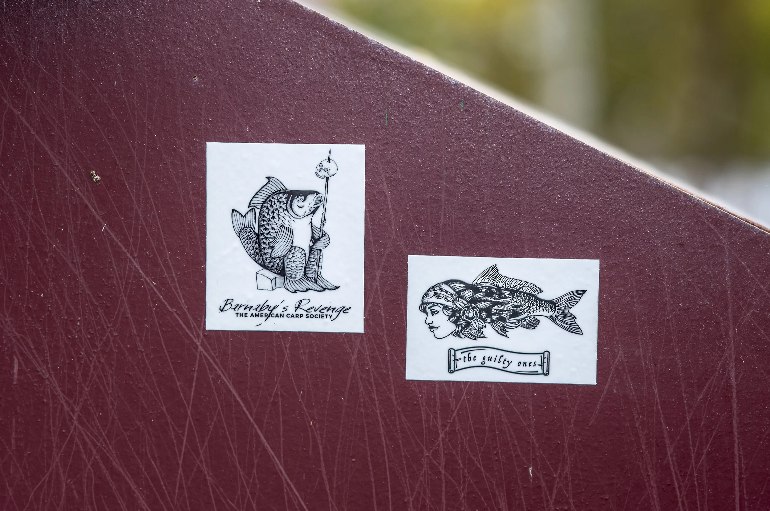 Educating & Promoting Specimen Carp Fishing American Carp Society Membership Options