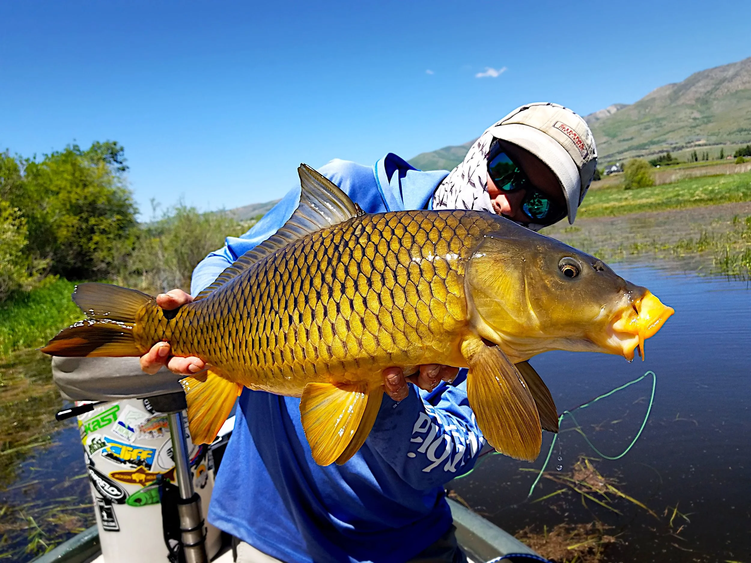 Educating & Promoting Specimen Carp Fishing American Carp Society Membership Options