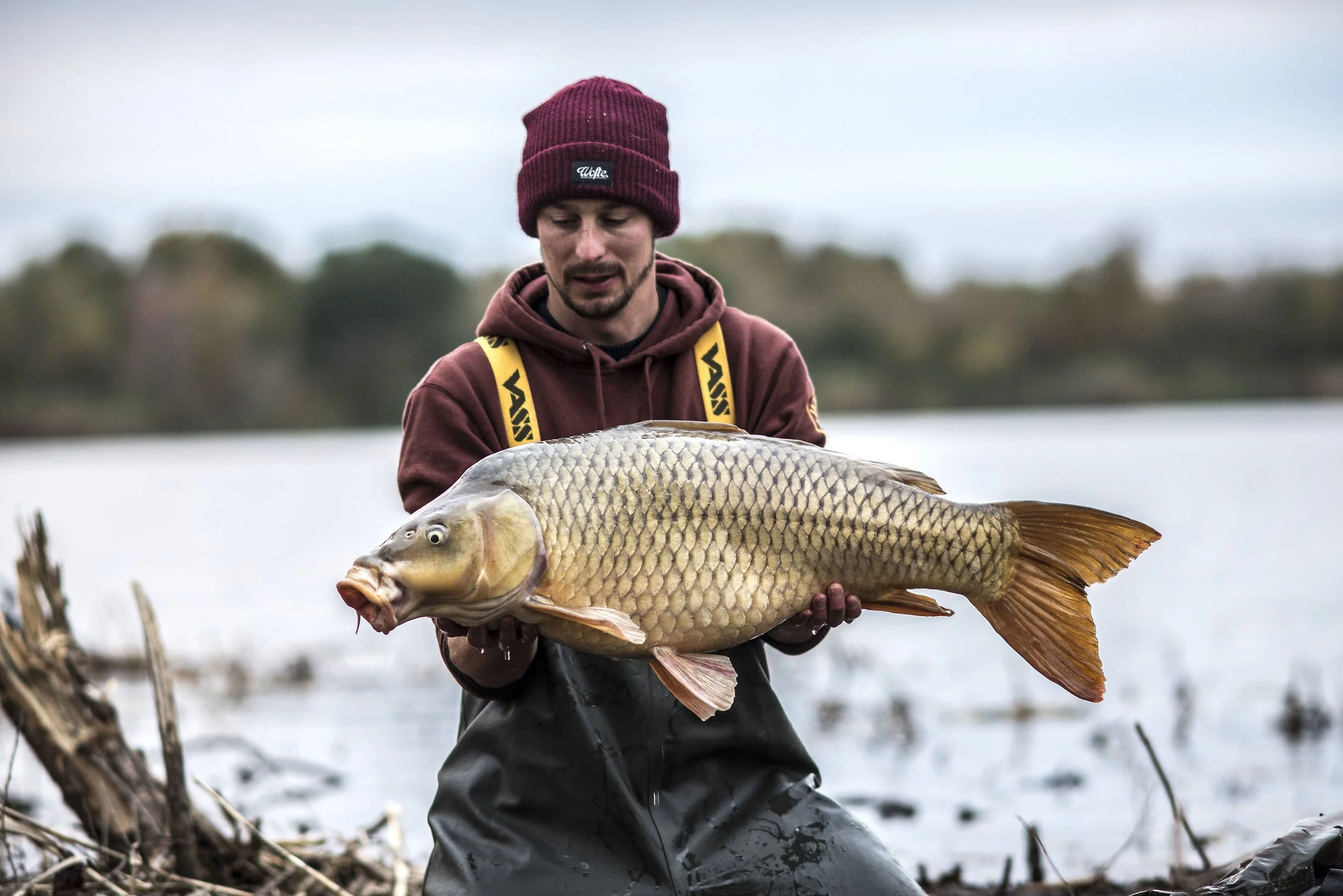 Educating & Promoting Specimen Carp Fishing American Carp Society Membership Options
