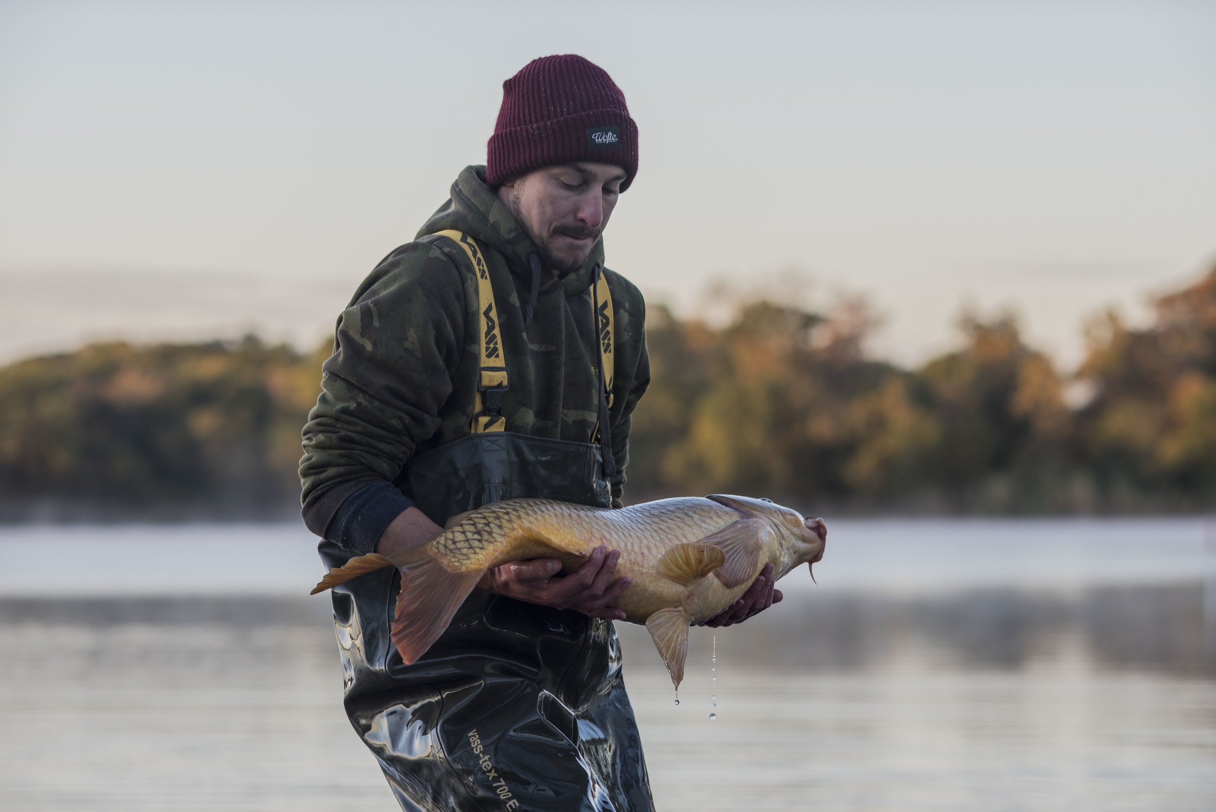  Educating &amp; Promoting Specimen Carp Fishing   American Carp Society    Membership Options  