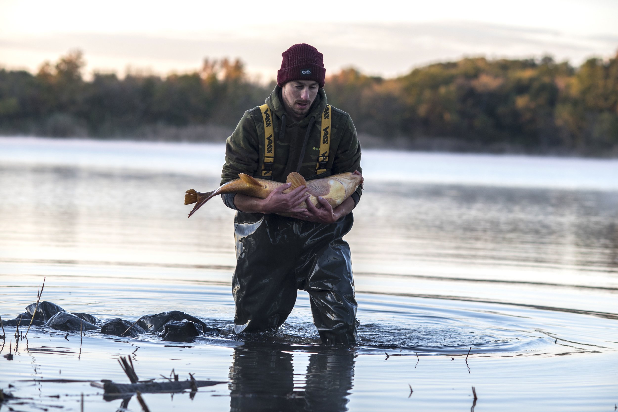  Educating &amp; Promoting Specimen Carp Fishing   American Carp Society    Membership Options  