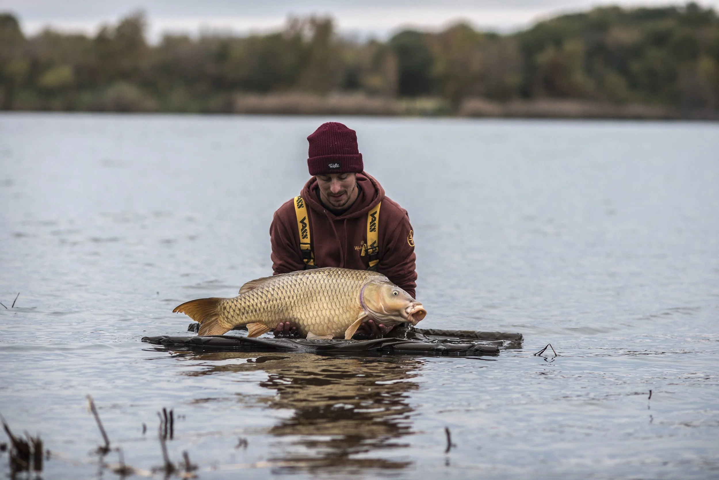 Educating & Promoting Specimen Carp Fishing American Carp Society Membership Options