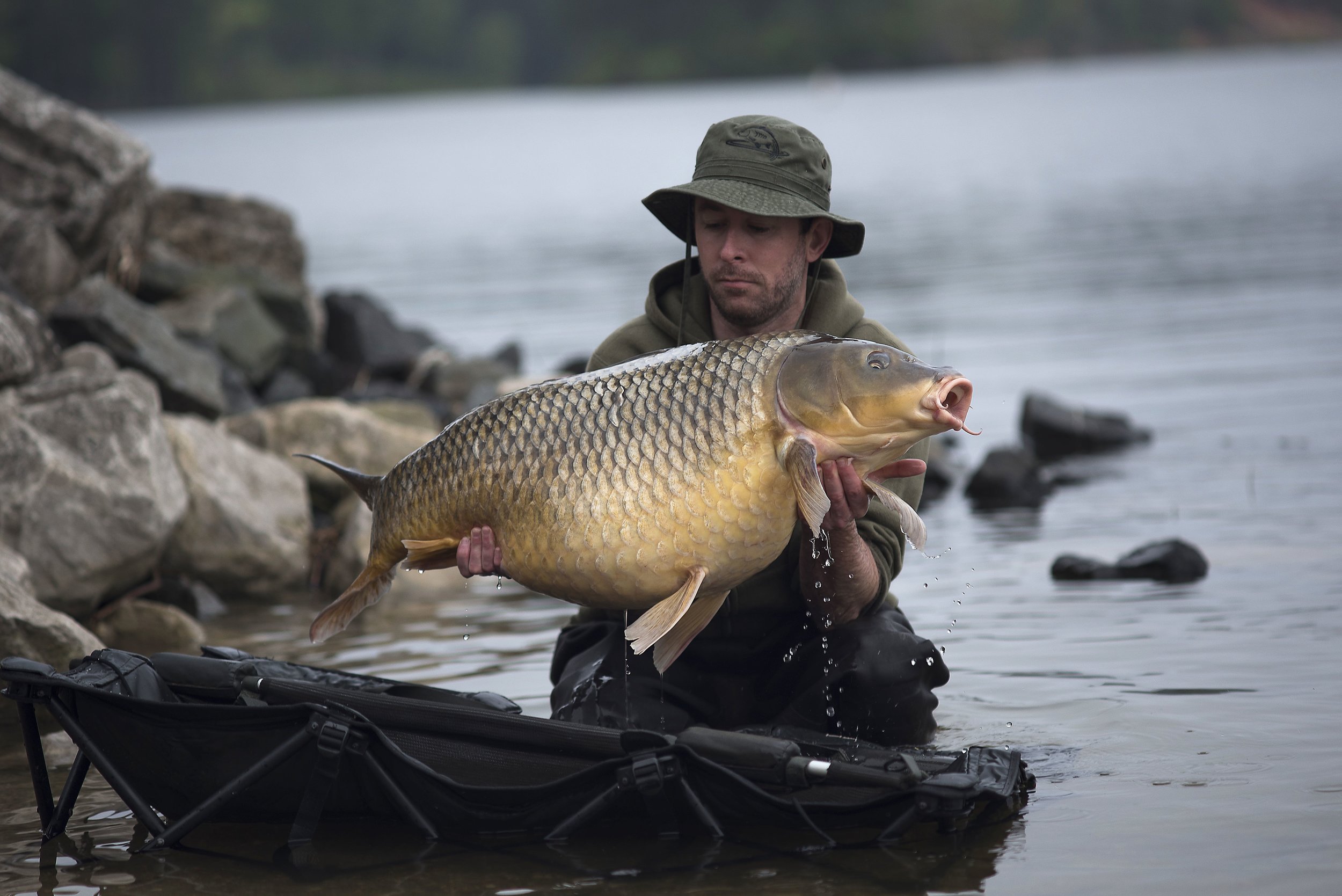 Home — American Carp Society