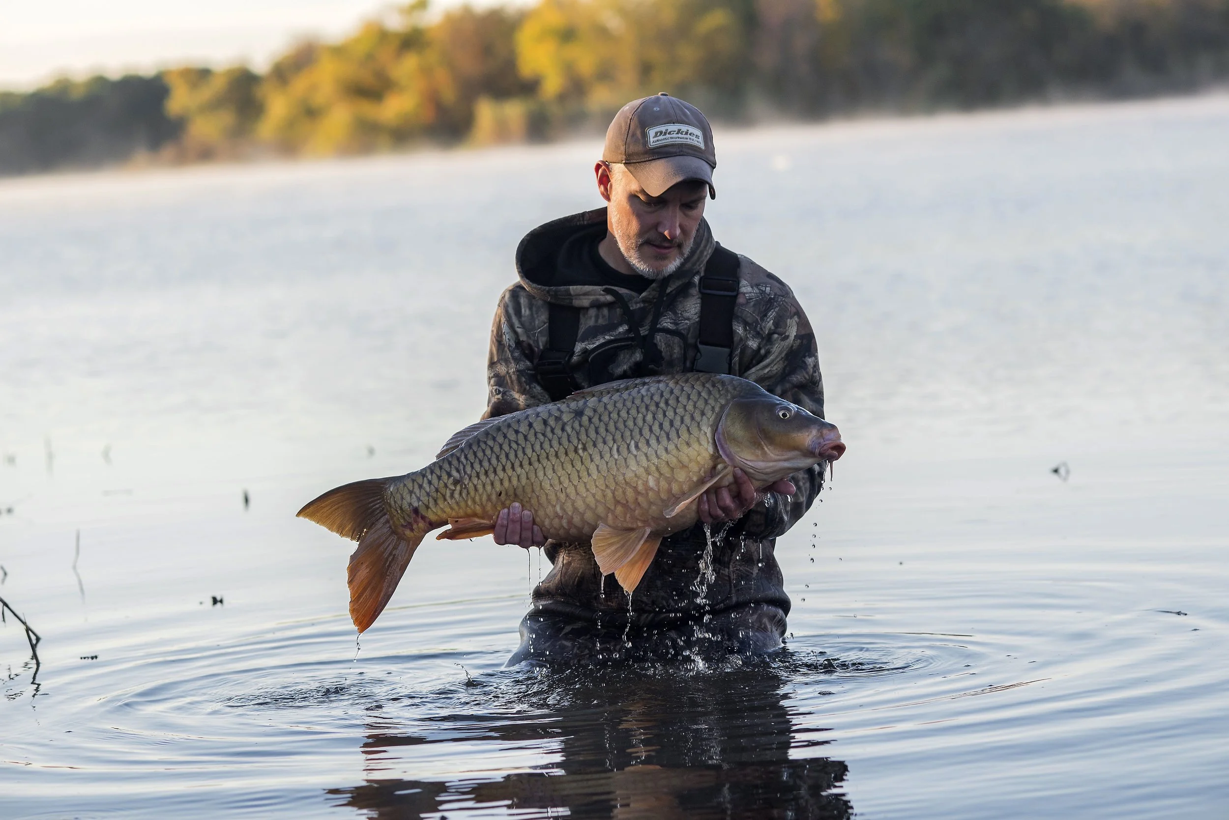 Educating & Promoting Specimen Carp Fishing American Carp Society Membership Options
