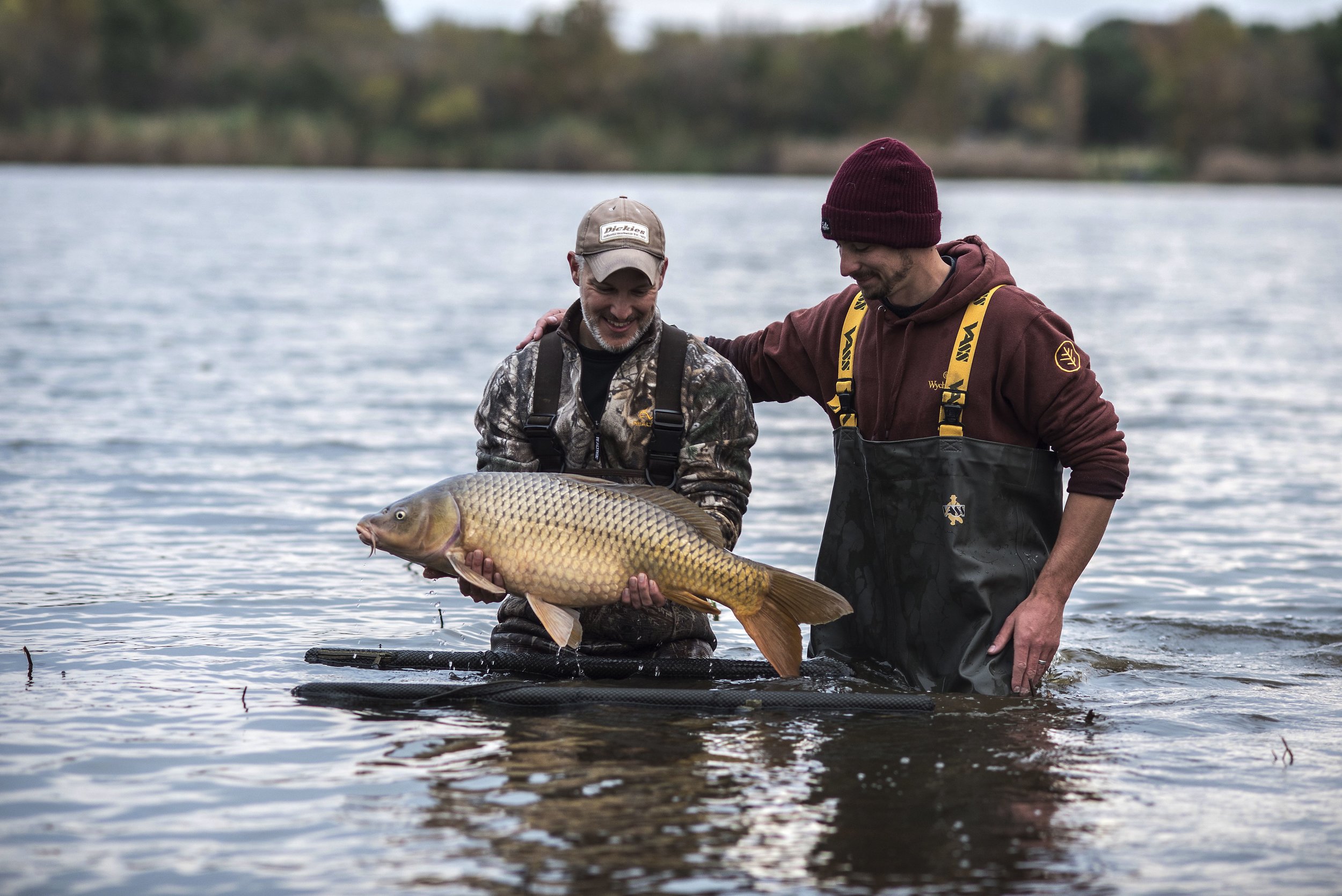  Educating &amp; Promoting Specimen Carp Fishing   American Carp Society    Membership Options  