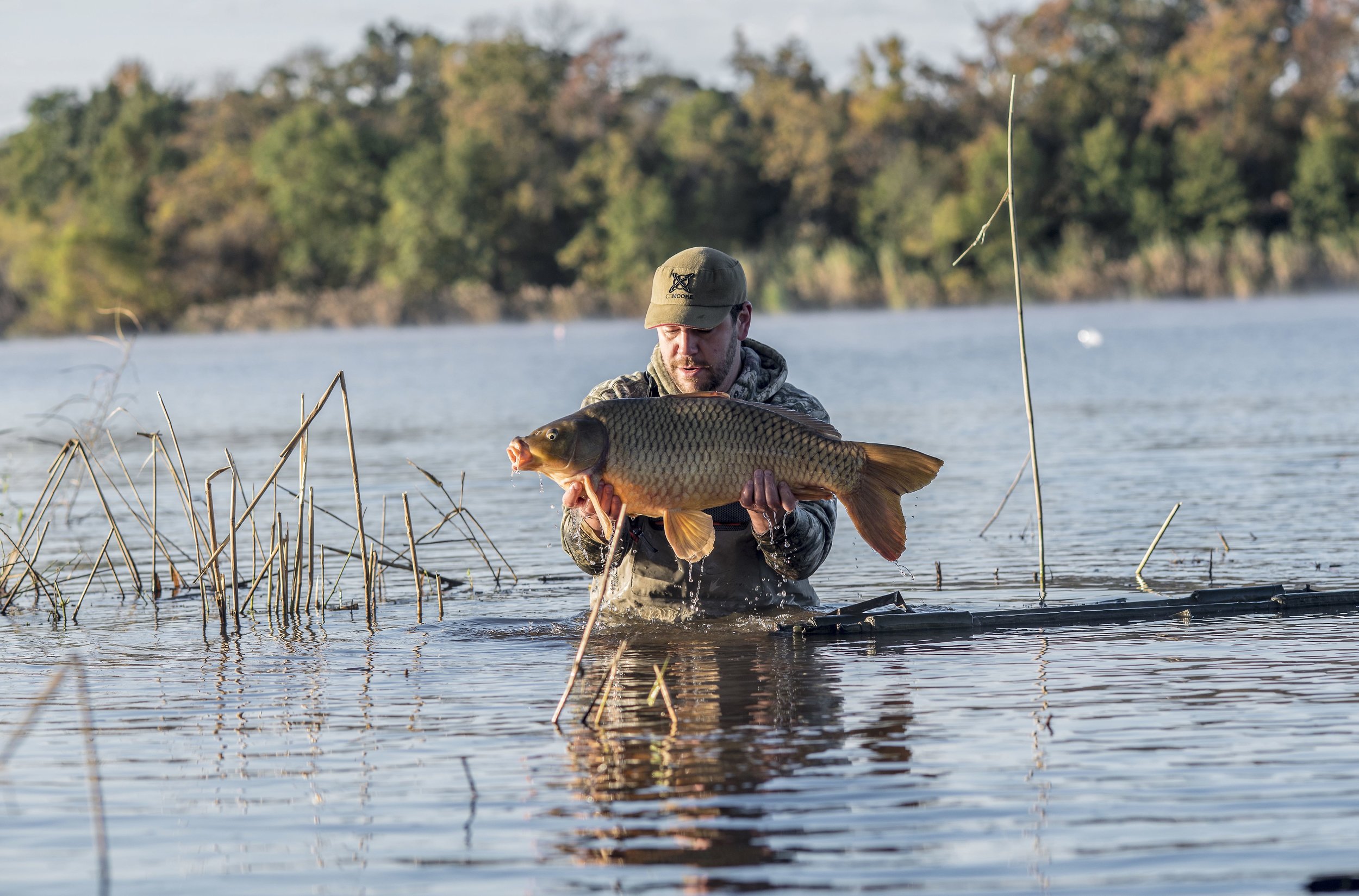  Educating &amp; Promoting Specimen Carp Fishing   American Carp Society    Membership Options  