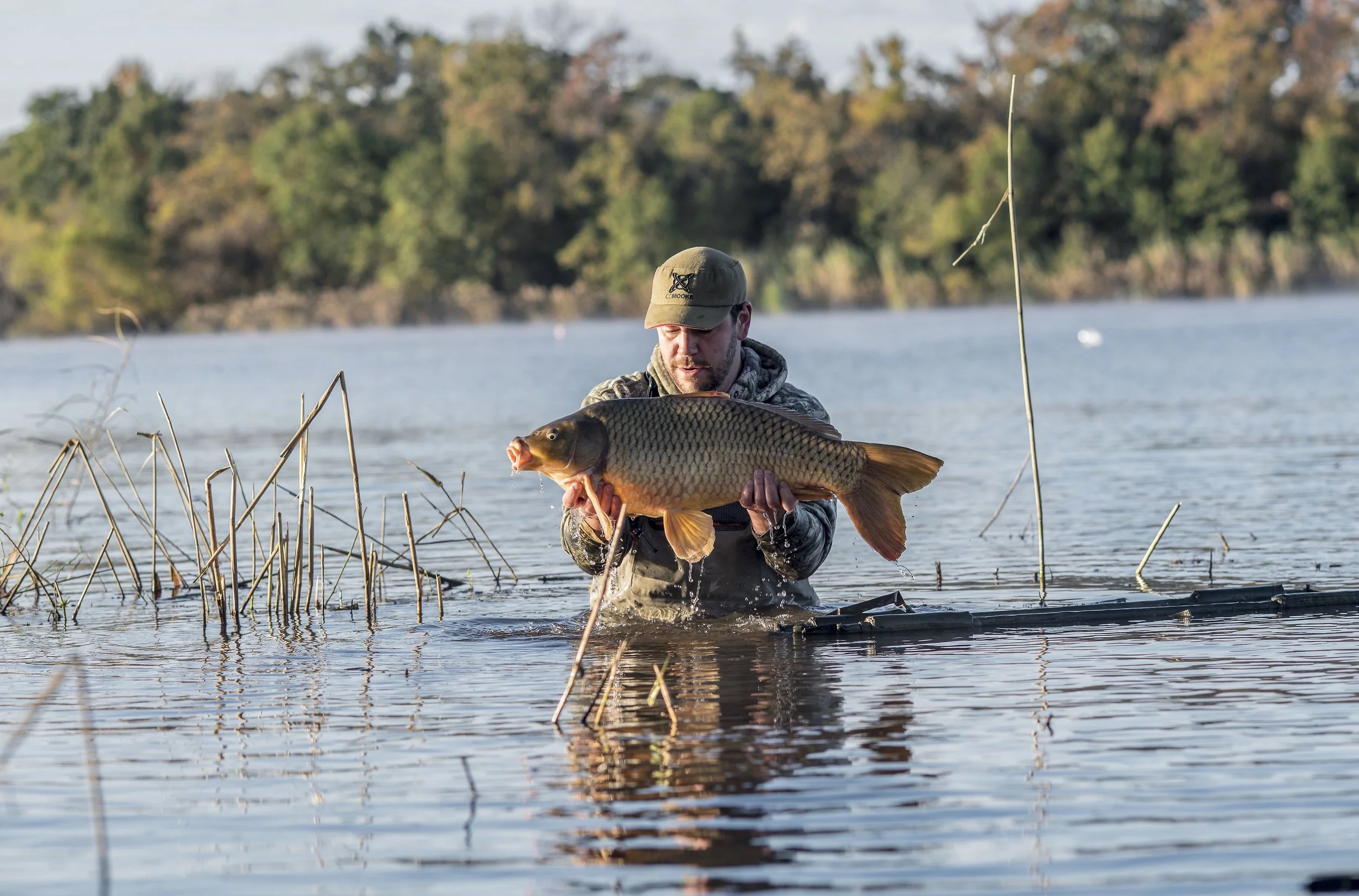 Educating & Promoting Specimen Carp Fishing American Carp Society Membership Options