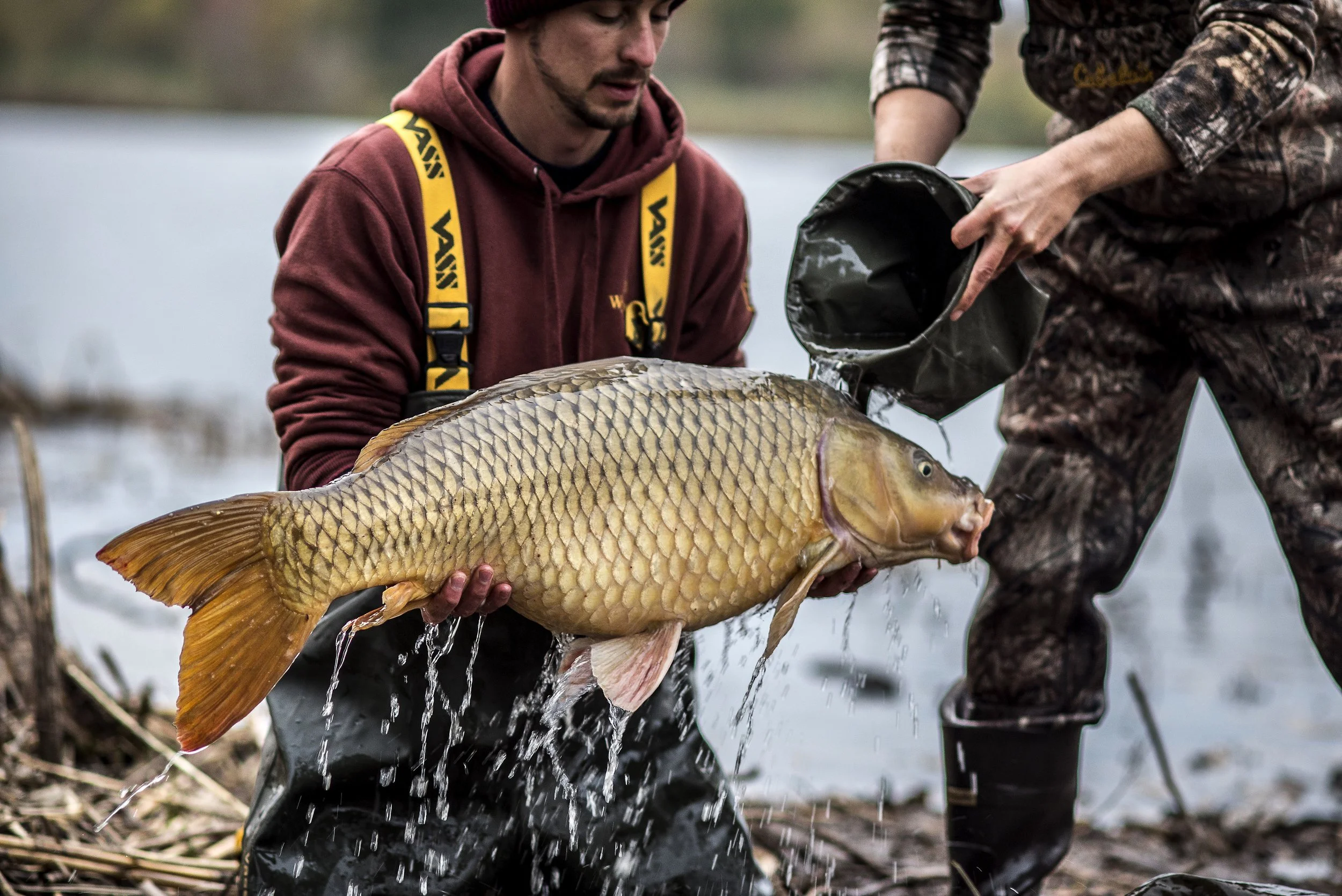 Educating & Promoting Specimen Carp Fishing American Carp Society Membership Options