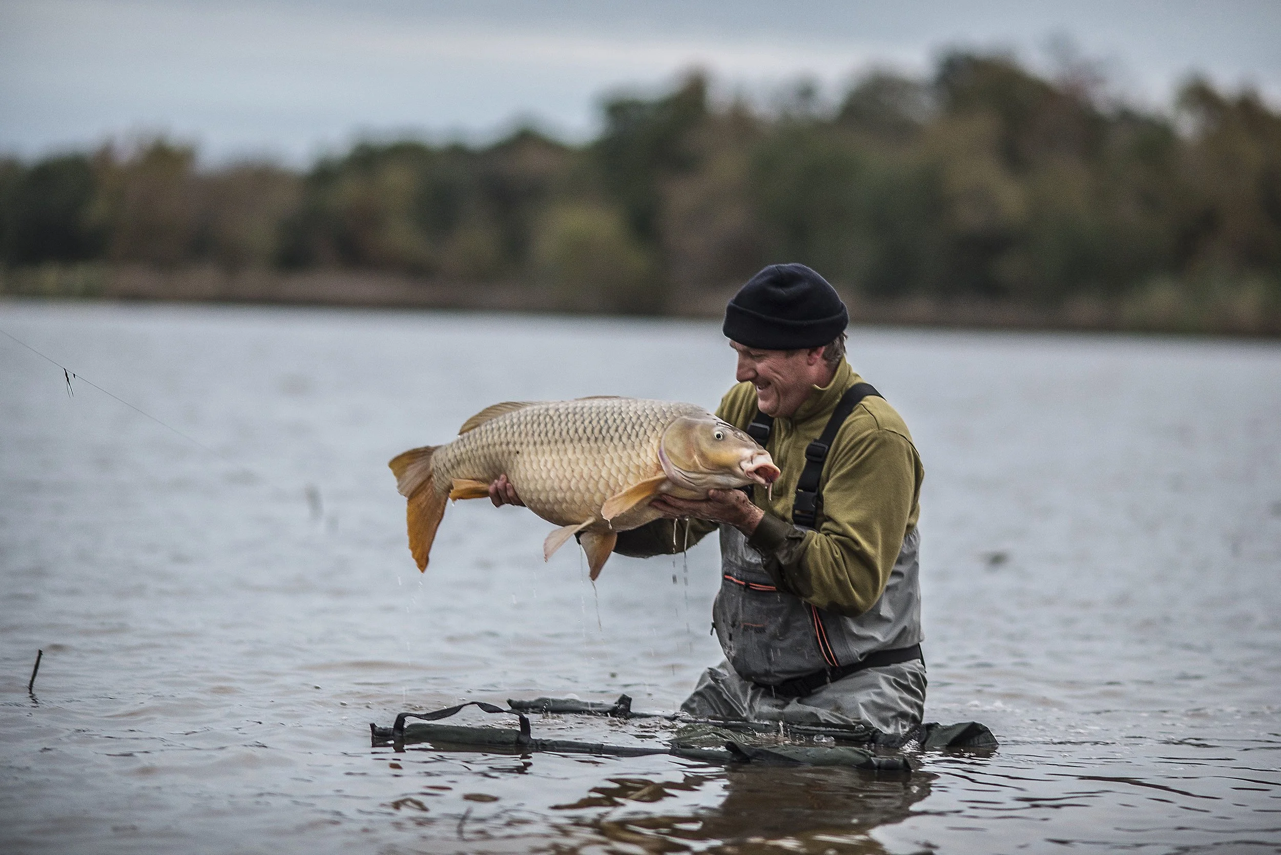 Educating & Promoting Specimen Carp Fishing American Carp Society Membership Options